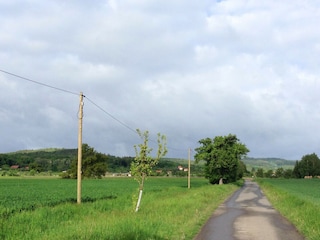 Ferienhaus Wienrode Umgebung 25