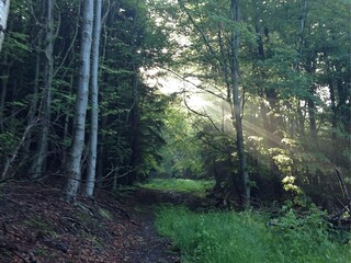 Casa de vacaciones Wienrode Entorno 29