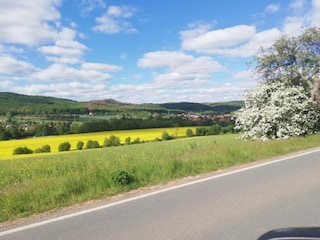 Ferienhaus Wienrode Umgebung 32