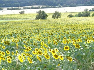 Casa de vacaciones Wienrode Entorno 38