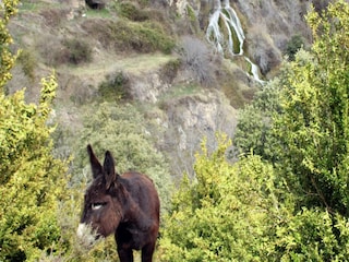 Ferienhaus Odèn Umgebung 23