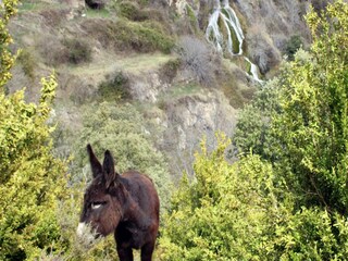 Casa de vacaciones Odèn Entorno 19