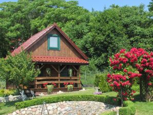 Holiday house Charming house on a hill overlooking the lake - Lubin - image1
