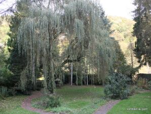 Maison de vacances avec un grand jardin à Liège - Hamoir - image1