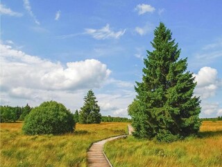 Casa per le vacanze Hamoir Ambiente 39