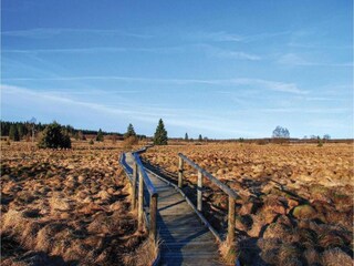 Vakantiehuis Hamoir Omgeving 37