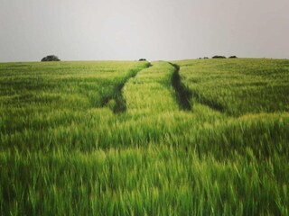 Vakantiehuis Hamoir Omgeving 38