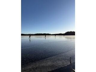 Die Natur beobachten