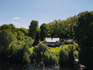 Ferienhaus Hus Lammen direkt am See - Lammhult - image1