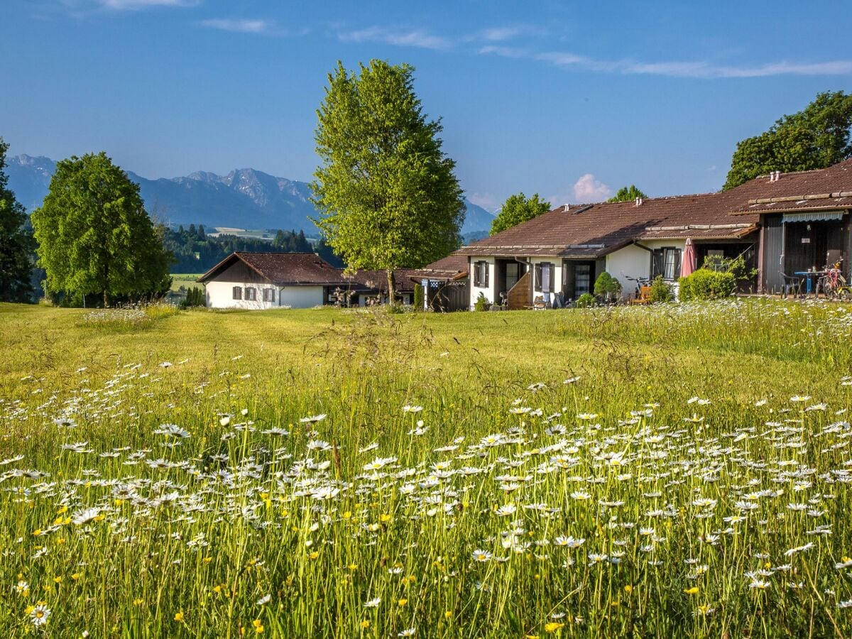 Feriendorf Hochbergle