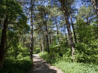 Casa per le vacanze Noordwijk Ambiente 22