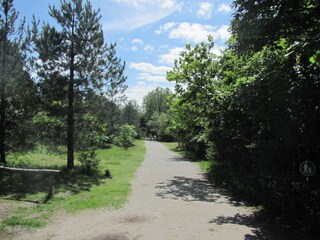 Casa per le vacanze Noordwijk Ambiente 26