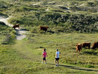 Casa per le vacanze Noordwijk Ambiente 28