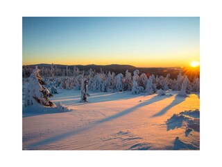 Casa de vacaciones Hahnenklee Características 3