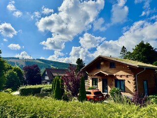 Casa per le vacanze Hahnenklee Caratteristiche 12