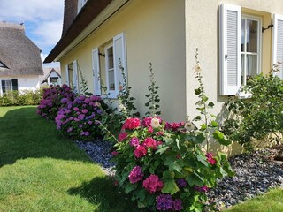 Ferienhaus Glowe Außenaufnahme 3
