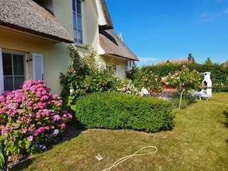 Ferienhaus Glowe Außenaufnahme 6
