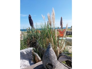 Impression im Hafen an der Promenade