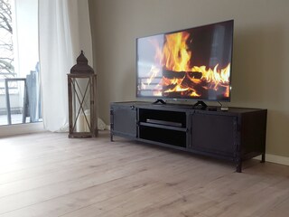 Fernseher FLAT-TV