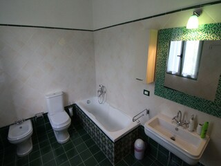 Castillo Lusiana Características 19