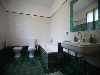 Castello Lusiana Caratteristiche 14