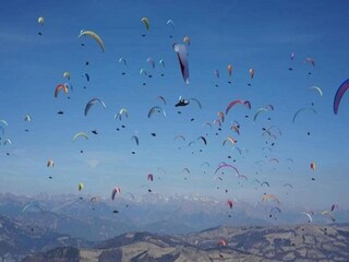 Castello Lusiana Ambiente 38