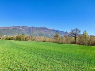 Castillo Lusiana Entorno 32