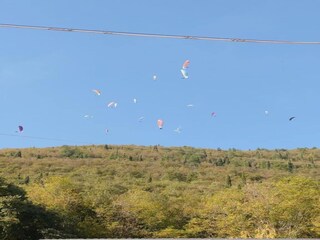 Castello Lusiana Ambiente 26