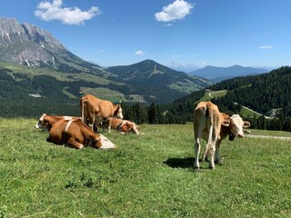 Chalet Mühlbach am Hochkönig Ambiente 31