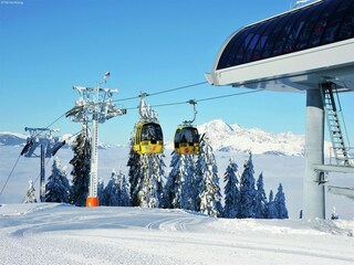 Chalet Mühlbach am Hochkönig Umgebung 31