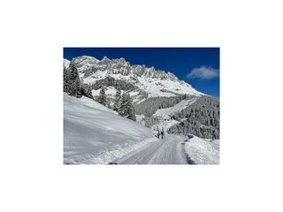 Chalet Mühlbach am Hochkönig Umgebung 30