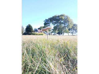 Blick von Wiese