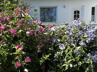 Holiday apartment Dranske Outdoor Recording 2