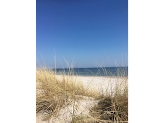 the Schaabe on the Baltic Sea beach