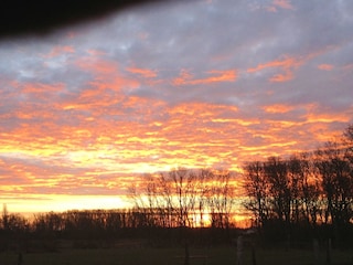 Evening sky in Starrvitz