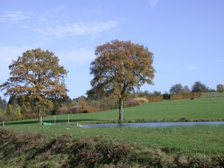 Casa de vacaciones Herbeumont Entorno 25