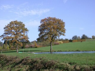 Ferienhaus Herbeumont Umgebung 26