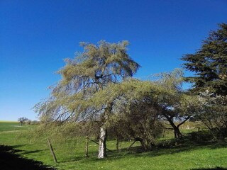 Vakantiehuis Gillenbeuren Buitenaudio-opname 11