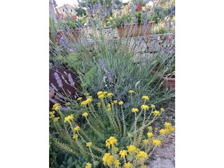 Appartamento per vacanze Martinscica Registrazione all'aperto 9