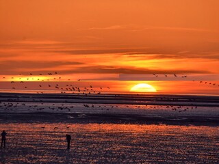 Traumhafter Sonnenuntergang