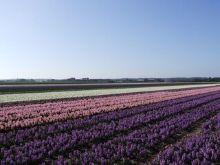 Casa per le vacanze Noordwijk Ambiente 21