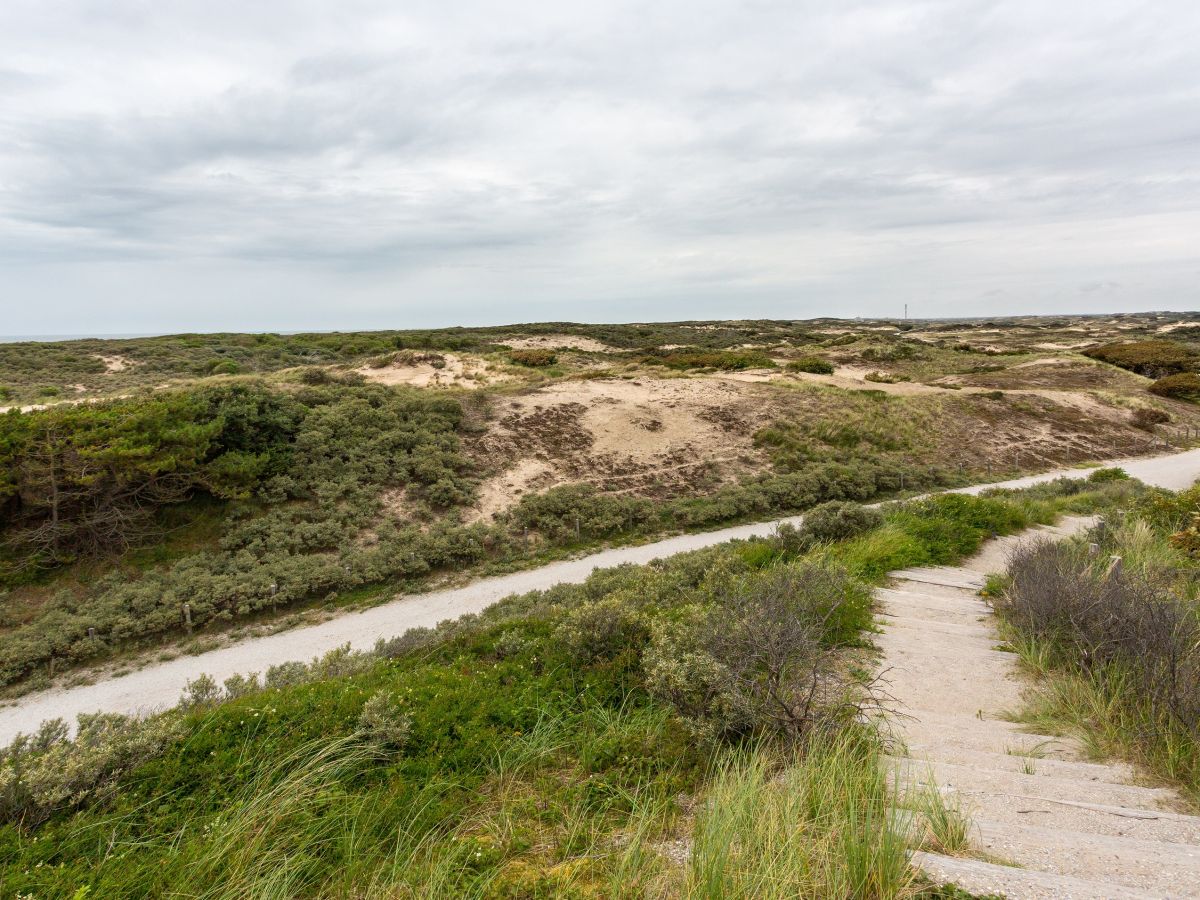 Lange Spaziergänge in den Dünen