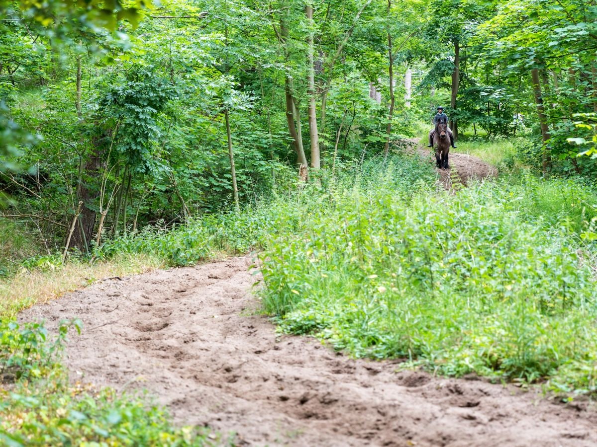 Reiten in den Dünen