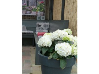 Chalet Makkum Außenaufnahme 7