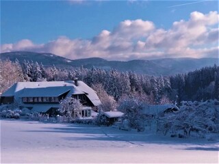 jetzt ist Winter