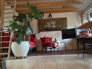 Wohnzimmer mit Esel Bild alt