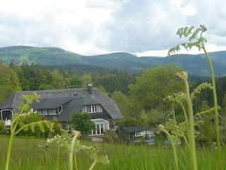 Einfahrt Ferienwohnung 1 obere Etage