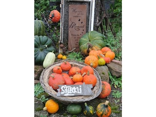 Herbst