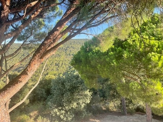 Maison de vacances Caldes d'Estrac  39