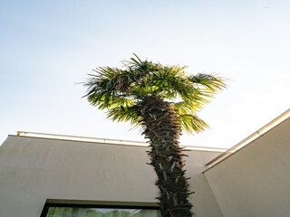 Vakantiehuis Caldes d'Estrac Buitenaudio-opname 9